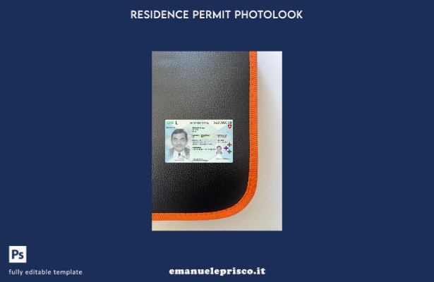 stile verificato Permesso di soggiorno svizzero presente modello frontale photol